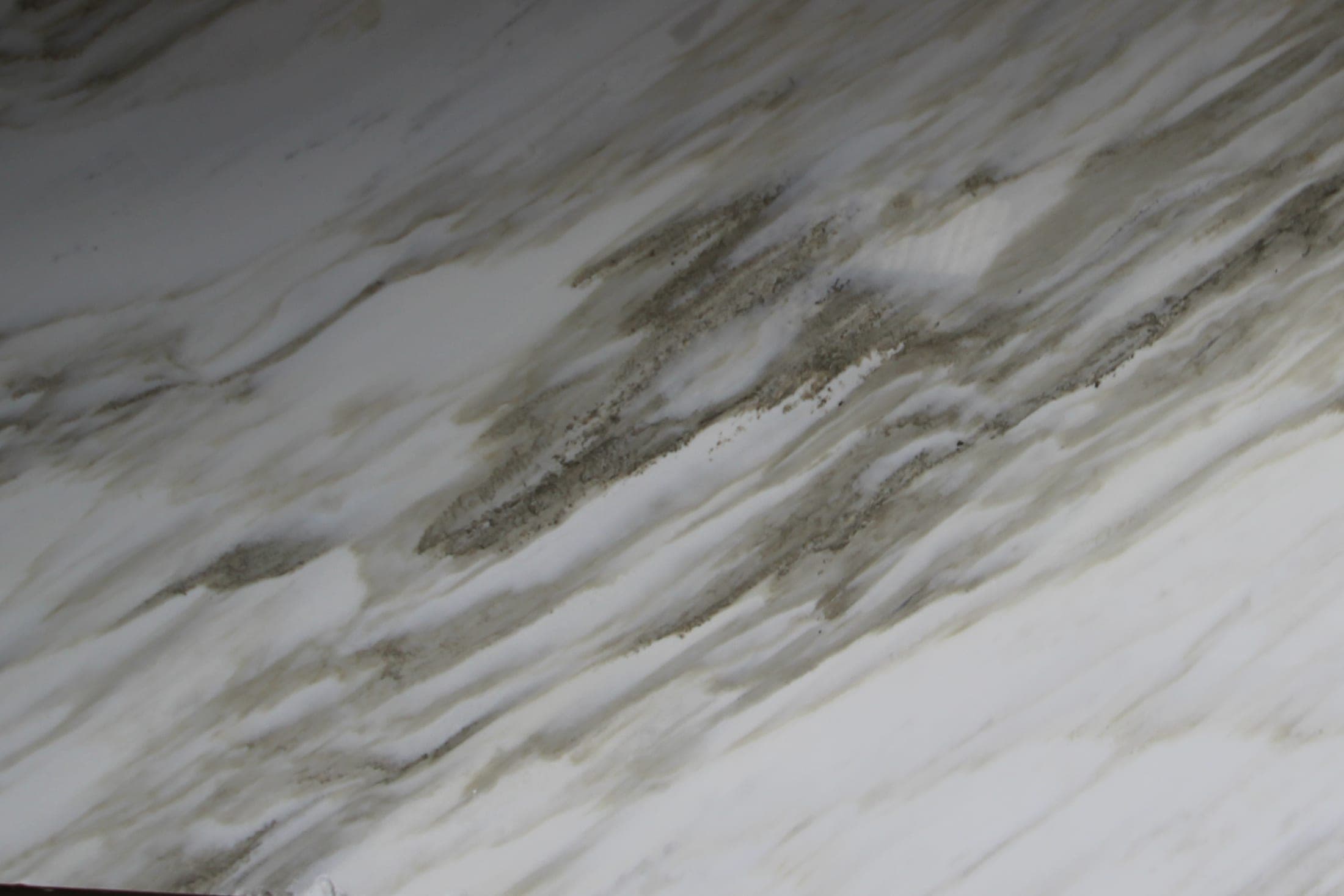 Close-up of polished Calacatta Bella marble, gold and grey veining across a white field