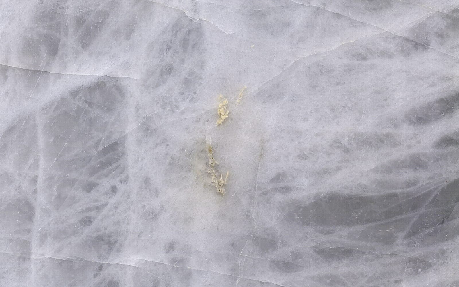 Polished Taj Mahal quartzite photographed up close: a web of white crystalline veins with a small gold mineral fleck